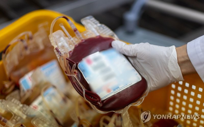 6월 14일은 세계헌혈자의 날 (출처=연합뉴스)