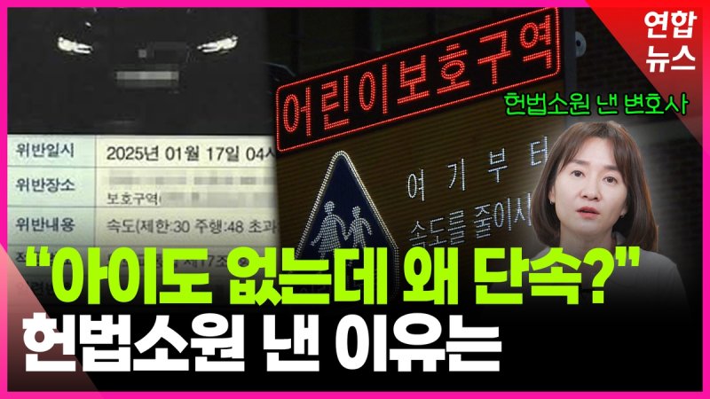 [영상] 헌법소원 제기한 변호사…"24시간 스쿨존은 위헌" (출처=연합뉴스)