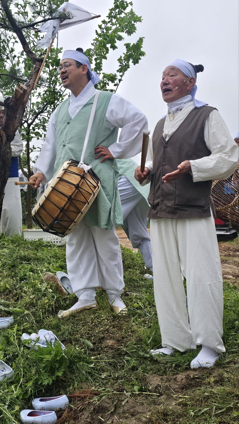 [화성=뉴시스]문영호 기자=이만규 팔탄면향토민요보존회 회장이 10일 '제9회 화성팔탄민요 전통 모심기 재현 및 체험행사' 모내기 시연을 위해 모심는소리를 하고 있다.2025.05.10.sonanom@newsis.com