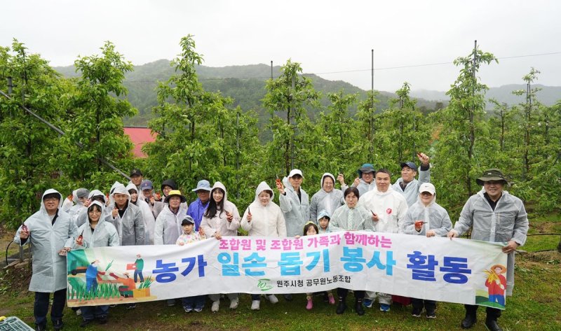 원주시청 공무원 노조, 사과 농가 찾아가 일손 돕기 봉사활동 (출처=연합뉴스)