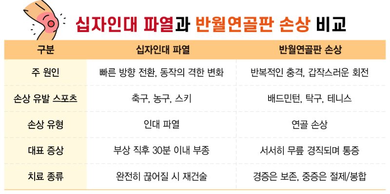 [서울=뉴시스]십자인대파열과 반월연골판 손상을 비교한 표. (자료= 강동경희대병원 제공) 2025.05.11. photo@newsis.com.
