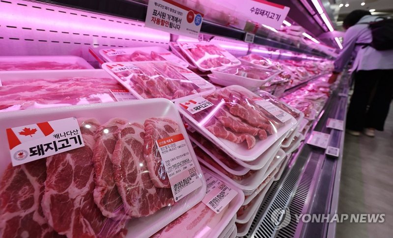 수입 돼지고기 진열대 (출처=연합뉴스)