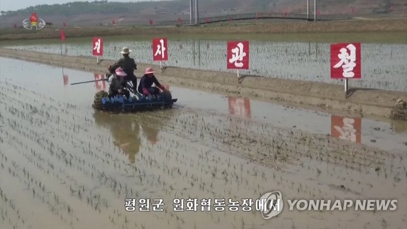 지난 2019년 원화농장 올해 첫 모내기 모습 (출처=연합뉴스)