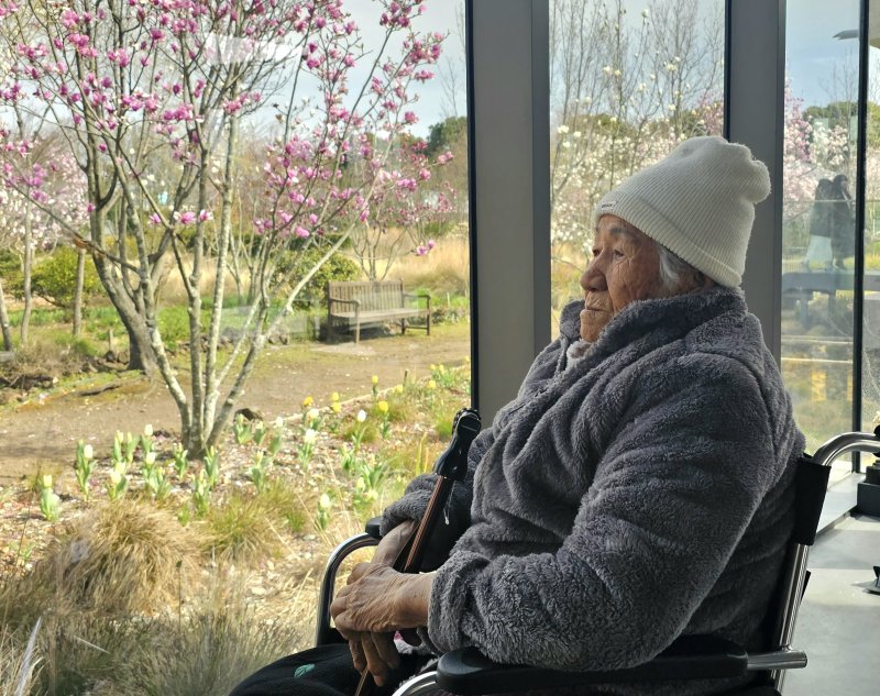 [제주=뉴시스] 임재영 기자 = 김춘부 할머니가 지난 3월30일 서귀포시 효돈동 '베케' 정원에서 1960년대부터 꽃밭을 만든 배경을 설명하고 나서 창밖을 바라보고 있다. 2025.05.11. ijy788@newsis.com