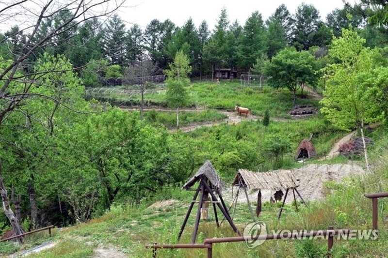 강원 태백시 '본적산 황부자 며느리 친정 가는 둘레길' (출처=연합뉴스)