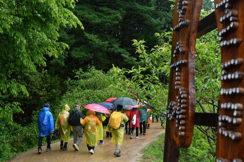 "봄비도 좋다"...제6회 횡성호수길축제 1만2000명 발길