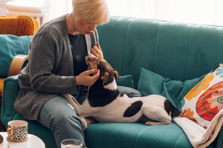 낮잠 자고 뒹굴던 곳인데…변기보다 75배 더럽다는 '이 곳'