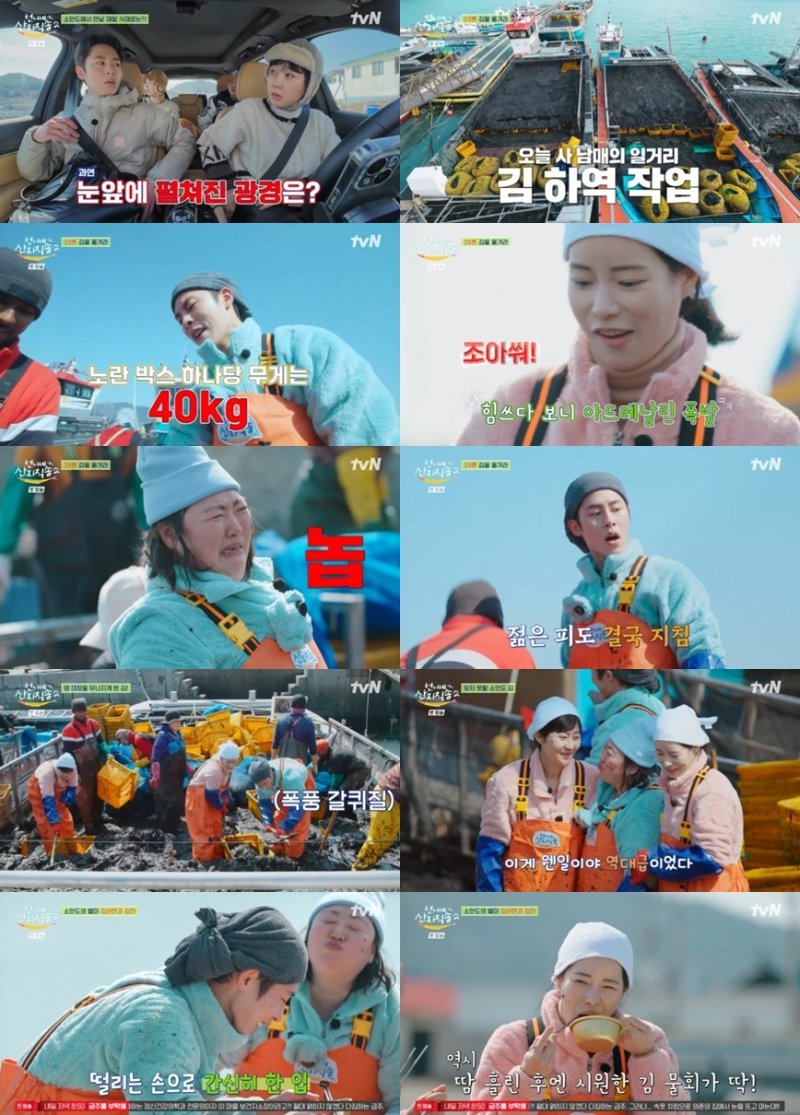 염정아→이재욱, 28톤 김 하역 작업…역대급 노동 [RE:TV]