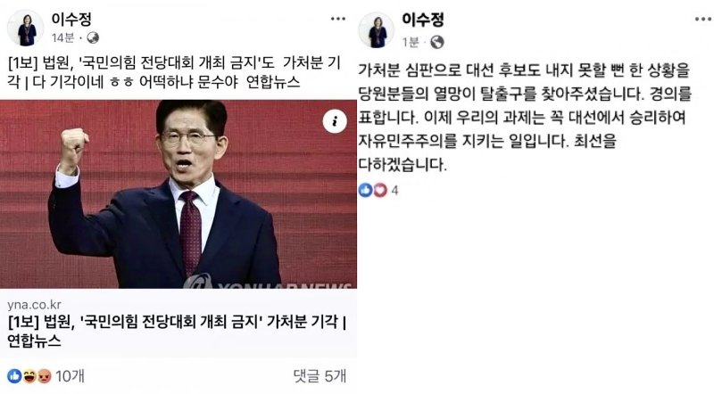 [서울=뉴시스] 이수정 경기 수원정 당협위원장의 페이스북 게시물. (사진=온라인 커뮤니티 갈무리) 2025.05.12. photo@newsis.com *재판매 및 DB 금지