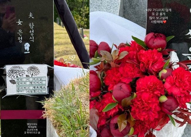 "늦게 와서 미안해" 함은정, 세상 떠난 母에 편지