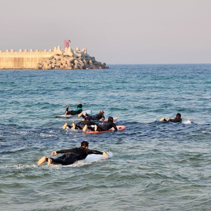 서핑교육.(양양군 제공, 재판매 및 DB 금지)2025.5.12/뉴스1