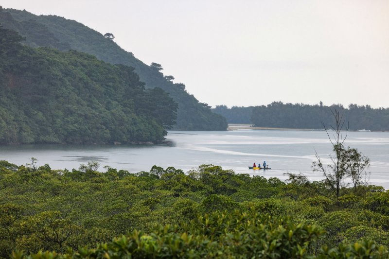 [여행honey] 별 볼 일 있는 섬 이리오모테·다케토미 (출처=연합뉴스)