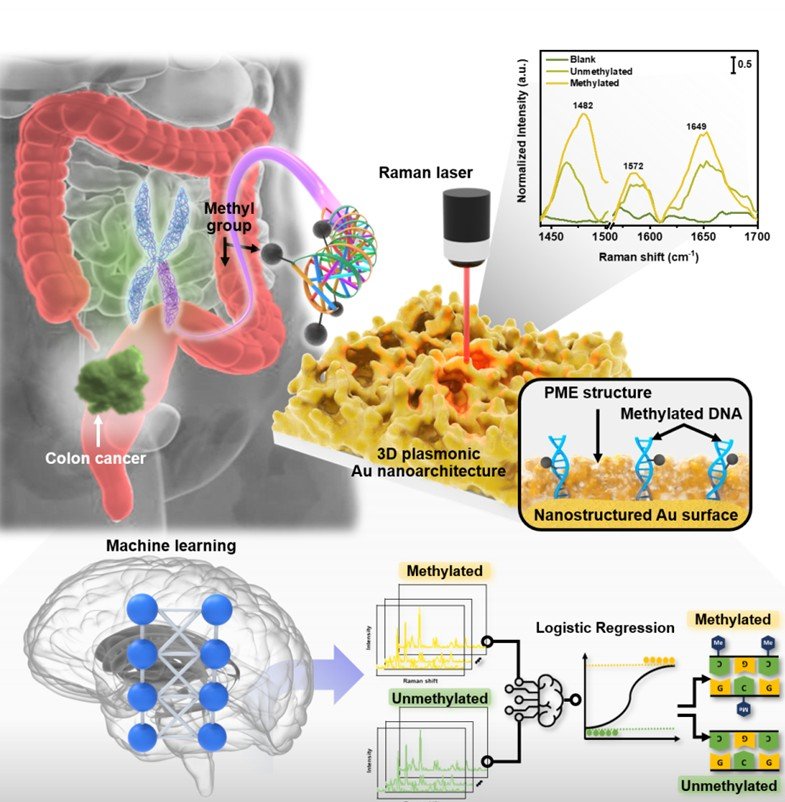 [창원=뉴시스]한국재료연구원 바이오·헬스재료연구본부 선임연구원 정호상 박사와 살라후딘 학생연구원이 개발한 혈액 내 극미량 암 DNA의 고감도 검출 및 인공지능 기반 분석 방법.(사진=한국재료연구원 제공) 2025.05.13. photo@newsis.com