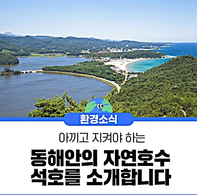 원주환경청, 30일까지 '석호 살리기 캠페인' 참가단체 모집 - 파이낸셜뉴스