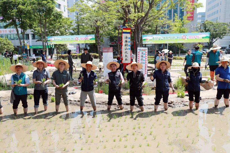 김두겸 울산시장과 이성룡 울산시의장, 시청 공무원 등이 13일 울산시청 내 생활정원에서 모심기를 진행하고 있다.(울산시청제공. 재판매 및 DB 금지)