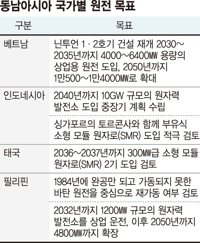 '바라카의 주역' 팀 코리아…'전력수요 급증' 동남아로 무대 이동