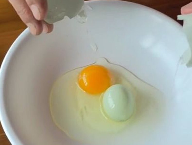 달걀 속에 또 달걀이?..괴산서 발견된 희귀 '이중 달걀'