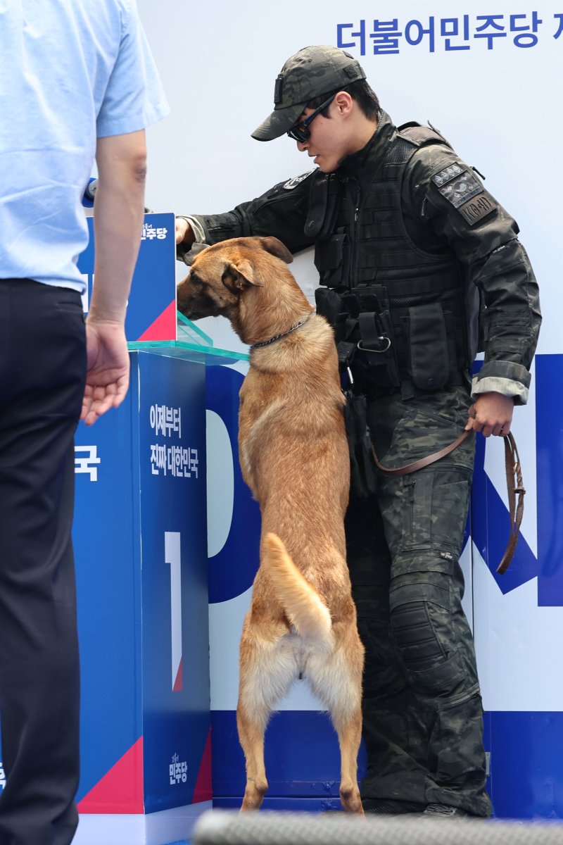 [대구=뉴시스] 권창회 기자 = 13일 대구 중구 동성로 광장에서 이재명 더불어민주당 대선 후보의 집중유세 시작 전 경찰 관계자와 폭발물 탐지견이 수색을 하고 있다. 2025.05.13. kch0523@newsis.com