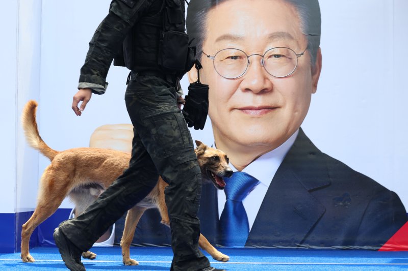 [대구=뉴시스] 권창회 기자 = 13일 대구 중구 동성로 광장에서 이재명 더불어민주당 대선 후보의 집중유세 시작 전 경찰 관계자와 폭발물 탐지견이 수색을 하고 있다. 2025.05.13. kch0523@newsis.com