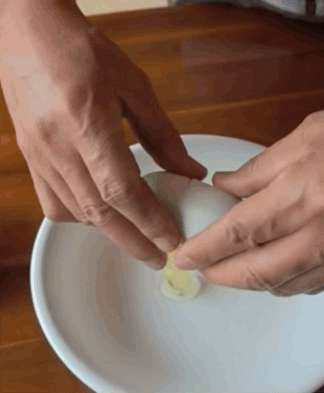 달걀 속에 또 달걀이?..괴산서 발견된 희귀 '이중 달걀'