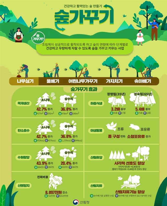 충남도, 기후위기 대응 ‘건강한 숲’ 조성 박차
