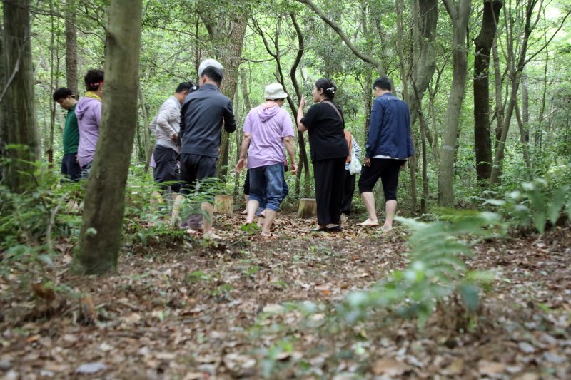 제주 곶자왈 숲길. 곶자왈은 제주도 화산활동 중 분출한 용암류가 만들어낸 불규칙한 암괴지대로 숲과 덤불 등 다양한 식생을 이루는 곳이다(자료사진)ⓒ News1