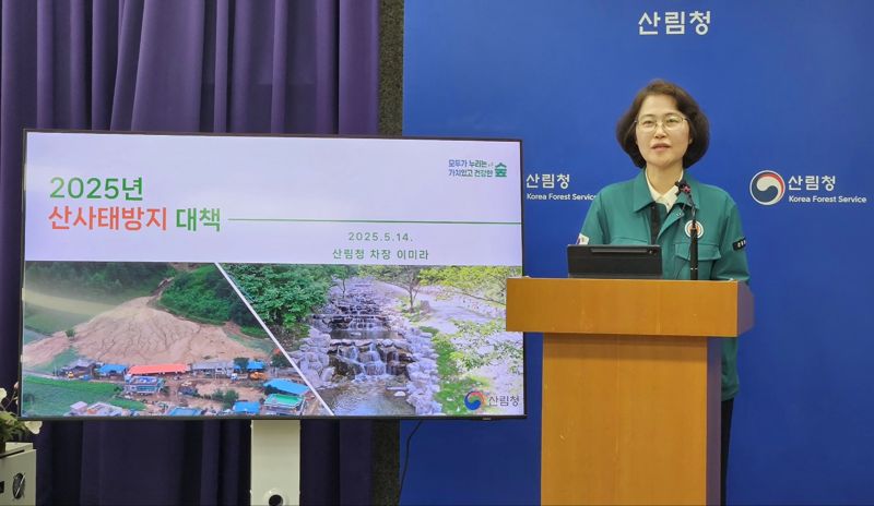 산림청, 영남 산불 피해지 여름철 산사태 대비 총력
