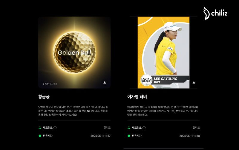 "스포츠 관람 입장을 블록체인으로"...칠리즈X네이버페이 월렛