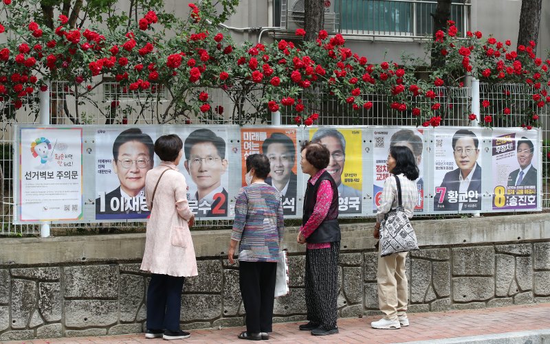 15일 오후 대구 중구 남산동의 한 아파트 울타리에 곱게 핀 장미꽃 아래 제21대 대통령 선거 후보자들의 벽보가 붙어있다. 2025.5.15/뉴스1 ⓒ News1 공정식 기자