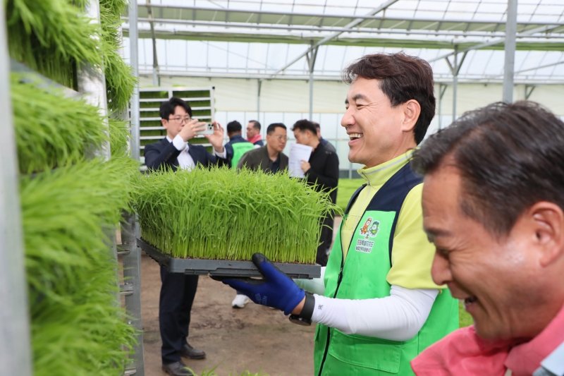 모내기 일일농부 변신한 김진태 강원도지사.(강원도 제공. 재판매 및 DB금지)/뉴스1