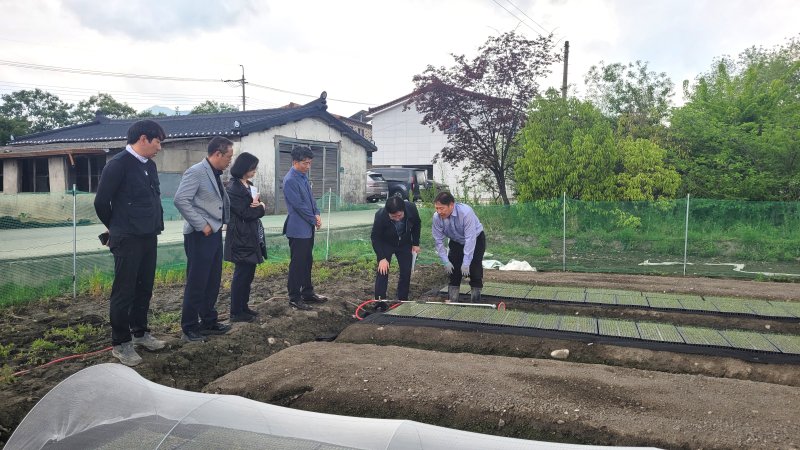 [세종=뉴시스] 농촌진흥청은 김대현 국립원예특작과학원 원예작물부장이 15일 경남 함양군 '노지 스마트농업 시범지구'를 찾아 운영 상황을 점검했다고 밝혔다. (사진=농진청 제공) 2025.05.15. photo@newsis.com *재판매 및 DB 금지