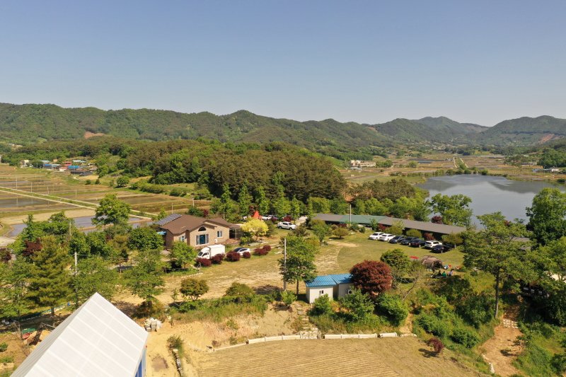 [부여=뉴시스] 부여 진달래관광농원. *재판매 및 DB 금지