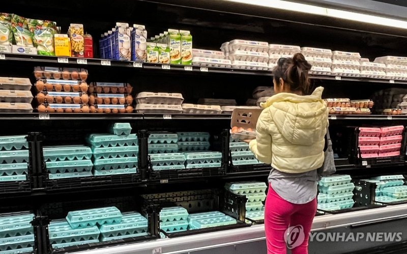 15일(현지시간) 미국 한 상점에서 달걀 살피는 주민 (출처=연합뉴스)