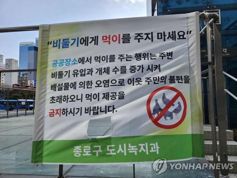 비둘기 먹이주기 금지 현수막 (출처=연합뉴스)
