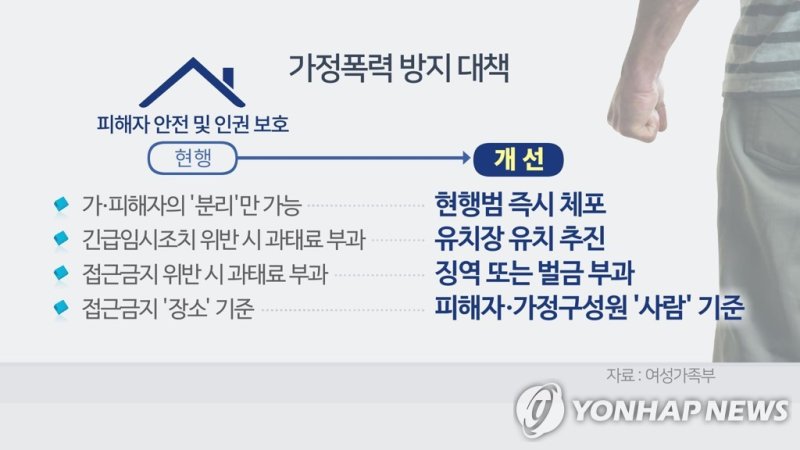 가정폭력 방지 대책 (CG) (출처=연합뉴스)