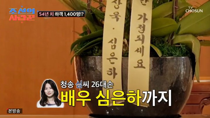 '청송 심씨' 심은하, 심현섭♥정영림 결혼에 "너무 잘됐다"