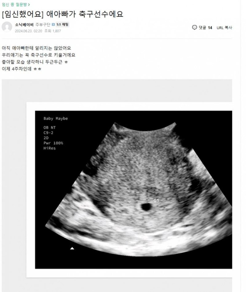[서울=뉴시스] 지난해 6월 포털사이트 카페에 올라온 글. (출처=온라인 커뮤니티 갈무리) 2025.05.19. photo@newsis.com *재판매 및 DB 금지