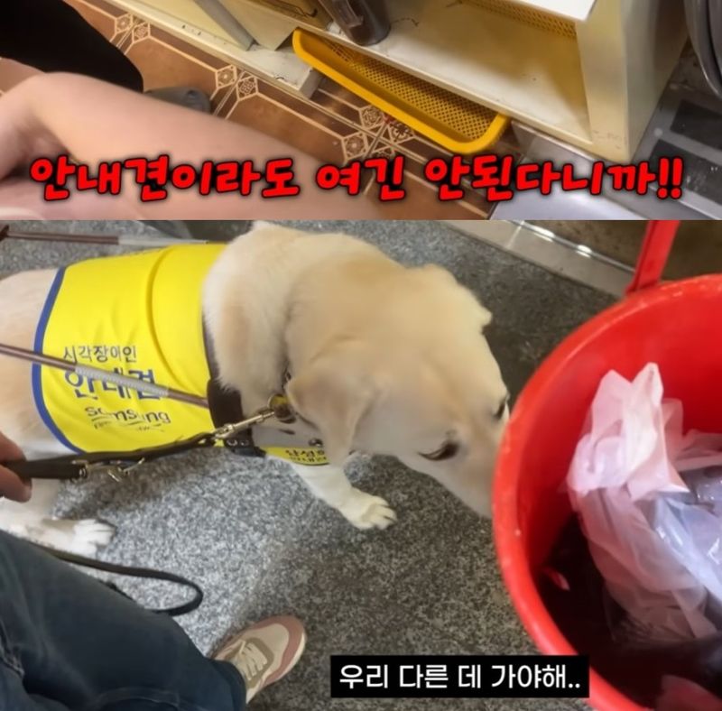 "개 데리고는 안돼"..시각장애인 '불꺼진 창고 옆 구석방' 밀어넣은 부산 횟집