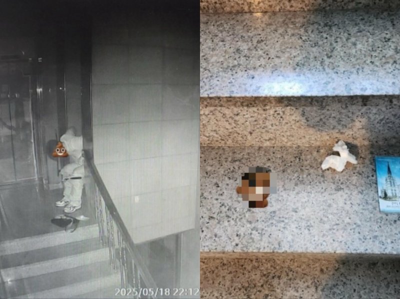 6층 남의 집 문 앞에 'X 싼' 남성…"여친 손 잡고 사라져"