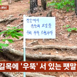 ′정상에서 동창회를..′ 등산로 길목에 세워진 황당한 팻말