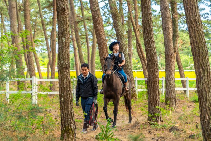 "이것이 '요즘 여행'이다" 관광공사, 5~6월 바다여행지 4곳 추천