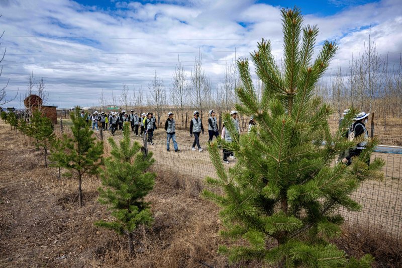 [바가노르(몽골)=뉴시스] 박주성 기자 = 대한항공과 아시아나항공 임직원들이 지난 20일 몽골 울란바타르시 바가노르구에 위치한 대한항공 숲에서 식림 활동을 하고 있다. 올해는 대한항공이 아시아나항공을 인수한 이후 처음 맞는 식림 활동으로 양사의 신입·인솔직원 260여 명이 함께 참여해 서로를 이해하고 협력하는 시간을 가졌다. 2025.05.21. park7691@newsis.com