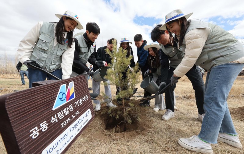 [바가노르(몽골)=뉴시스] 박주성 기자 = 대한항공과 아시아나항공 임직원들이 지난 20일 몽골 울란바타르시 바가노르구에 위치한 대한항공 숲에서 식림 활동을 하고 있다. 올해는 대한항공이 아시아나항공을 인수한 이후 처음 맞는 식림 활동으로 양사의 신입·인솔직원 260여 명이 함께 참여해 서로를 이해하고 협력하는 시간을 가졌다. 2025.05.21. park7691@newsis.com