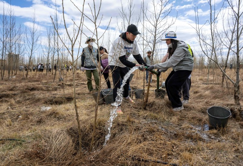 [바가노르(몽골)=뉴시스] 박주성 기자 = 대한항공과 아시아나항공 임직원들이 지난 20일 몽골 울란바타르시 바가노르구에 위치한 대한항공 숲에서 식림 활동을 하고 있다. 올해는 대한항공이 아시아나항공을 인수한 이후 처음 맞는 식림 활동으로 양사의 신입·인솔직원 260여 명이 함께 참여해 서로를 이해하고 협력하는 시간을 가졌다. 2025.05.21. park7691@newsis.com