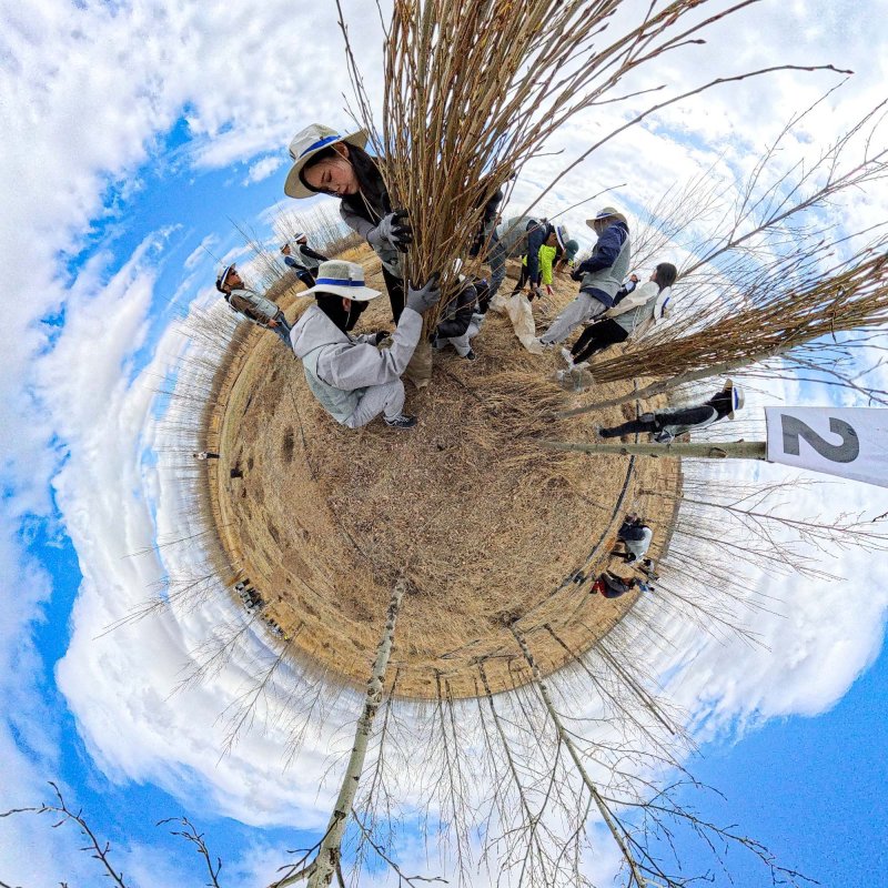 [바가노르(몽골)=뉴시스] 박주성 기자 = 대한항공과 아시아나항공 임직원들이 지난 20일 몽골 울란바타르시 바가노르구에 위치한 대한항공 숲에서 식림 활동을 하고 있다. 올해는 대한항공이 아시아나항공을 인수한 이후 처음 맞는 식림 활동으로 양사의 신입·인솔직원 260여 명이 함께 참여해 서로를 이해하고 협력하는 시간을 가졌다. 2025.05.21. park7691@newsis.com