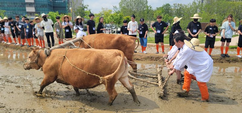 홍천군·국립농업박물관, 전통 농경문화 보존 위한 업무협약 체결