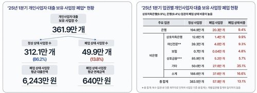 개인사업자 대출 보유 사업장 폐업 현황 (출처=연합뉴스)