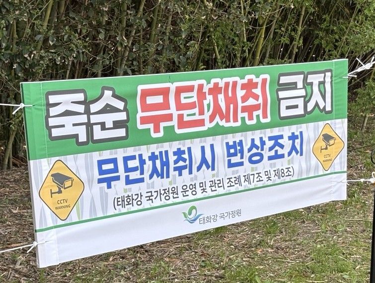 울산 망신시키는 죽순 도둑 어쩌나.. 애꿎은 현수막만 논란