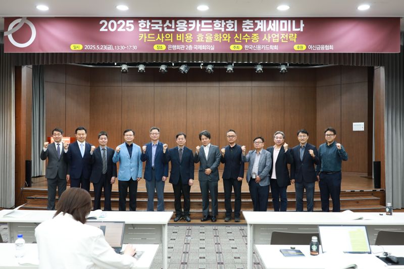 "카드사 수익 악화, 해외 ABS·신용등급 개선 등 비용 효율화 필요"