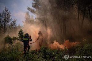 최신 뉴스 이미지